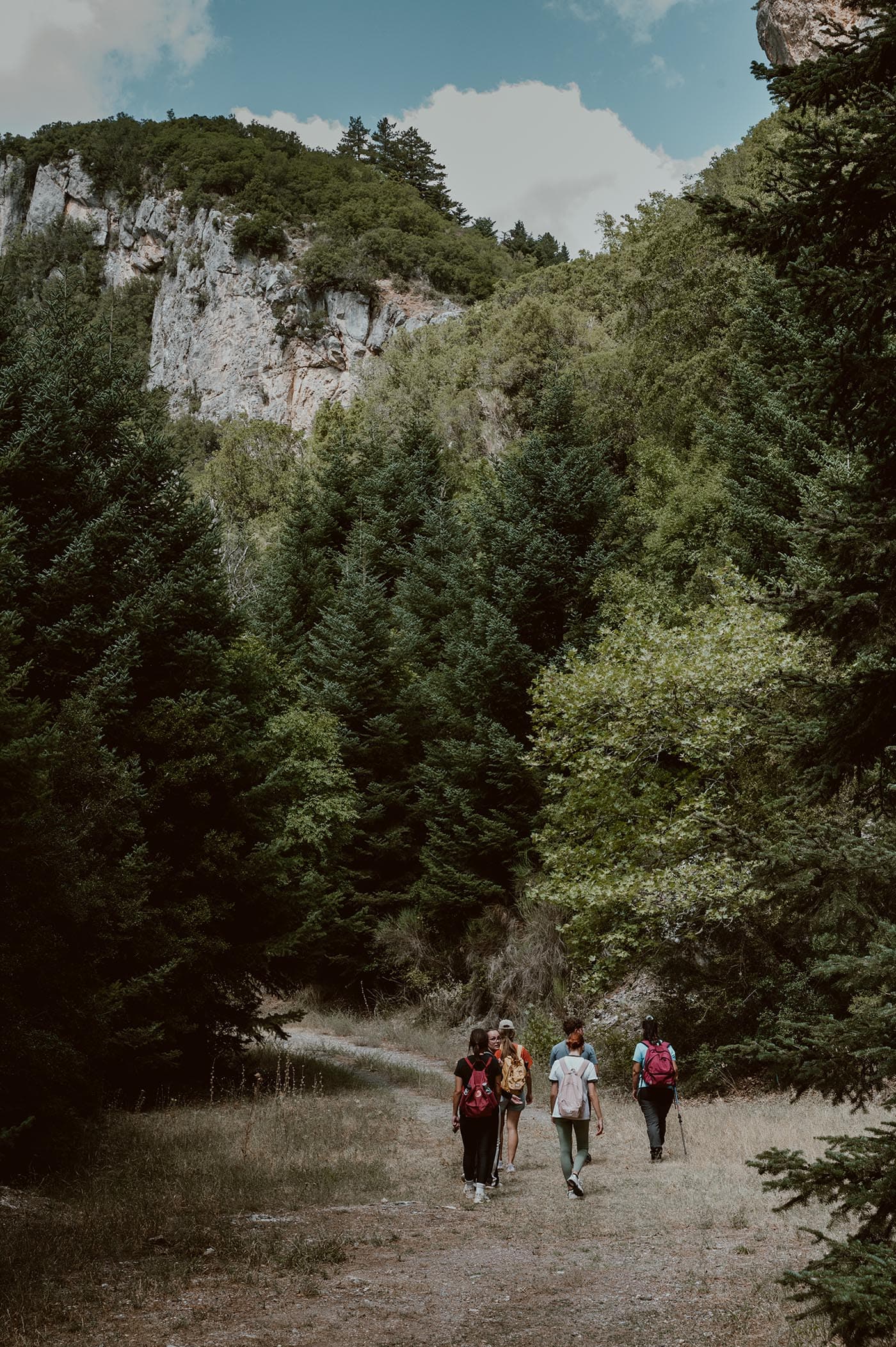 OUR VIBE IS MOUNTAINS story πεζοπορία