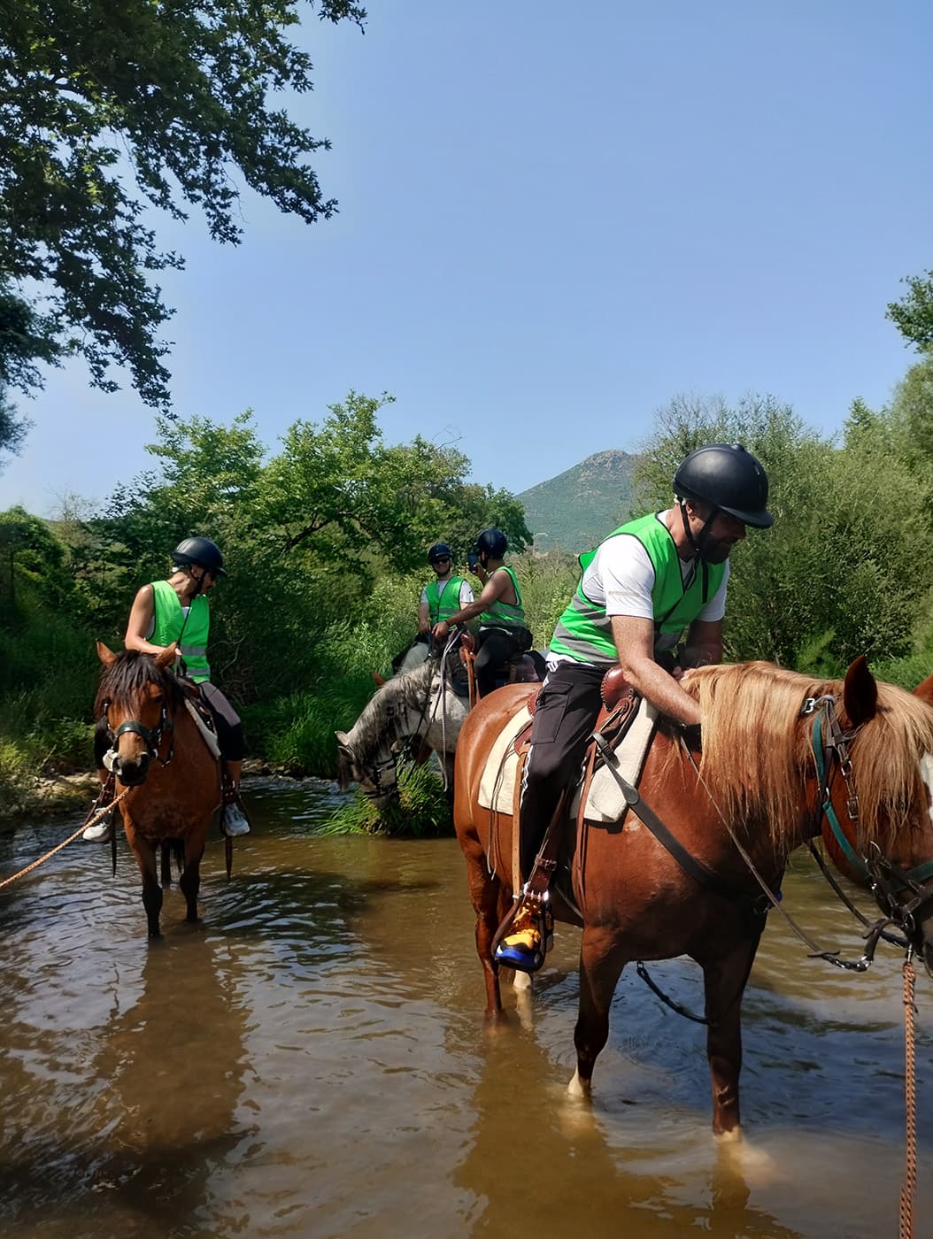 Stefi's Equestrian Tours