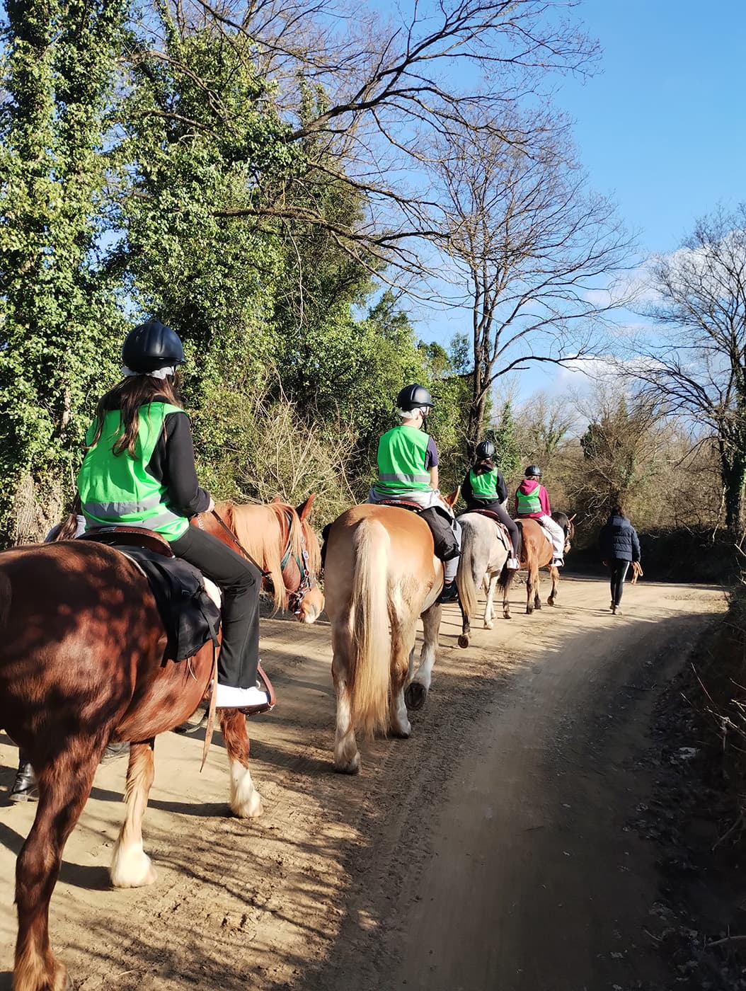 Stefi's Equestrian Tours