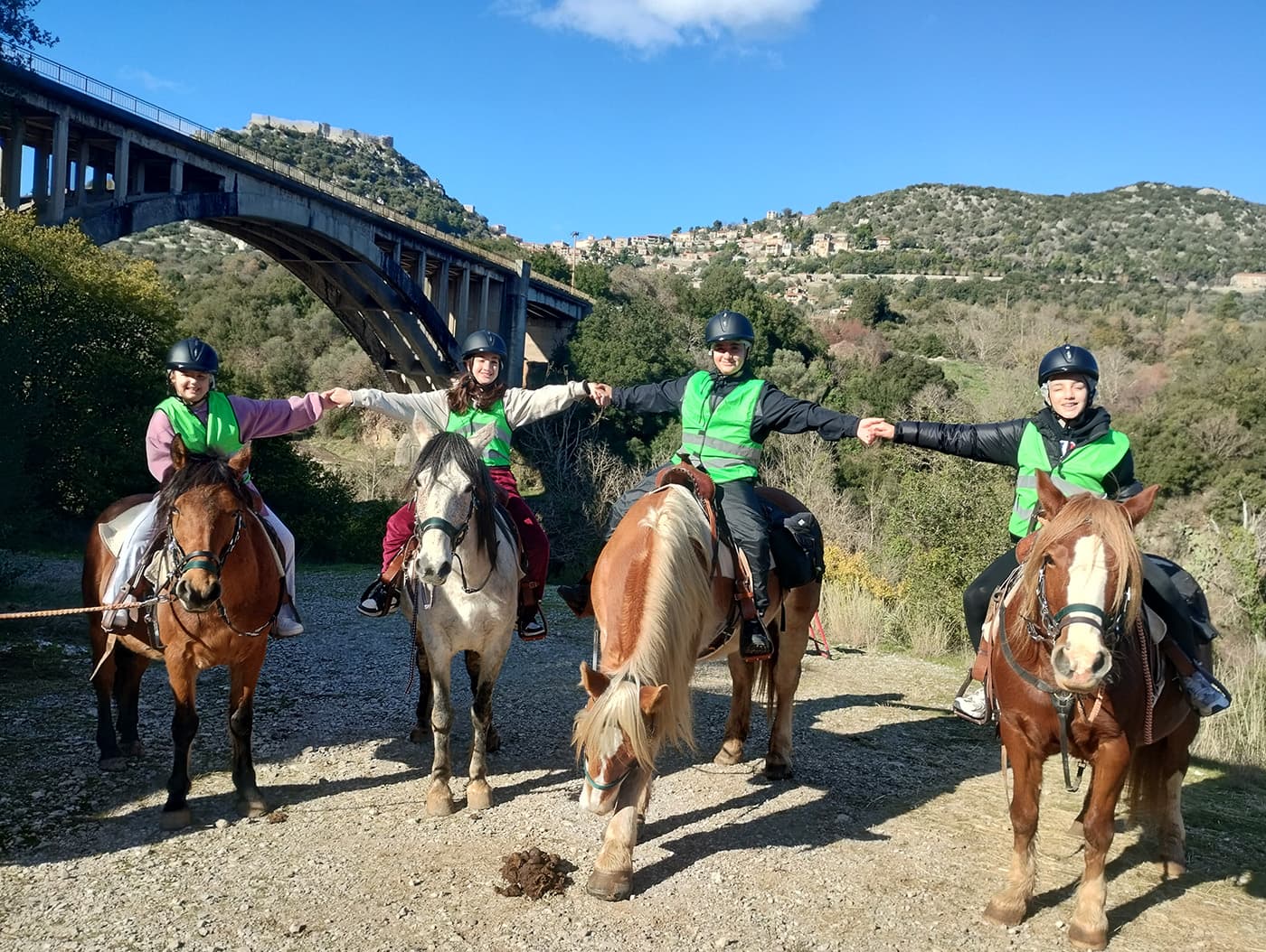 Stefi's Equestrian Tours