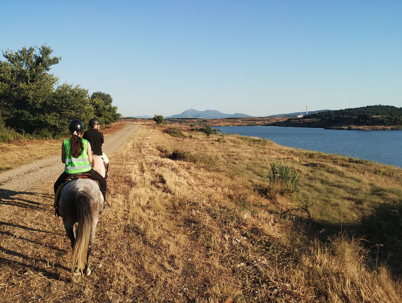 Stefi's Equestrian Tours